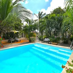 Wonders Boutique Oranjestad